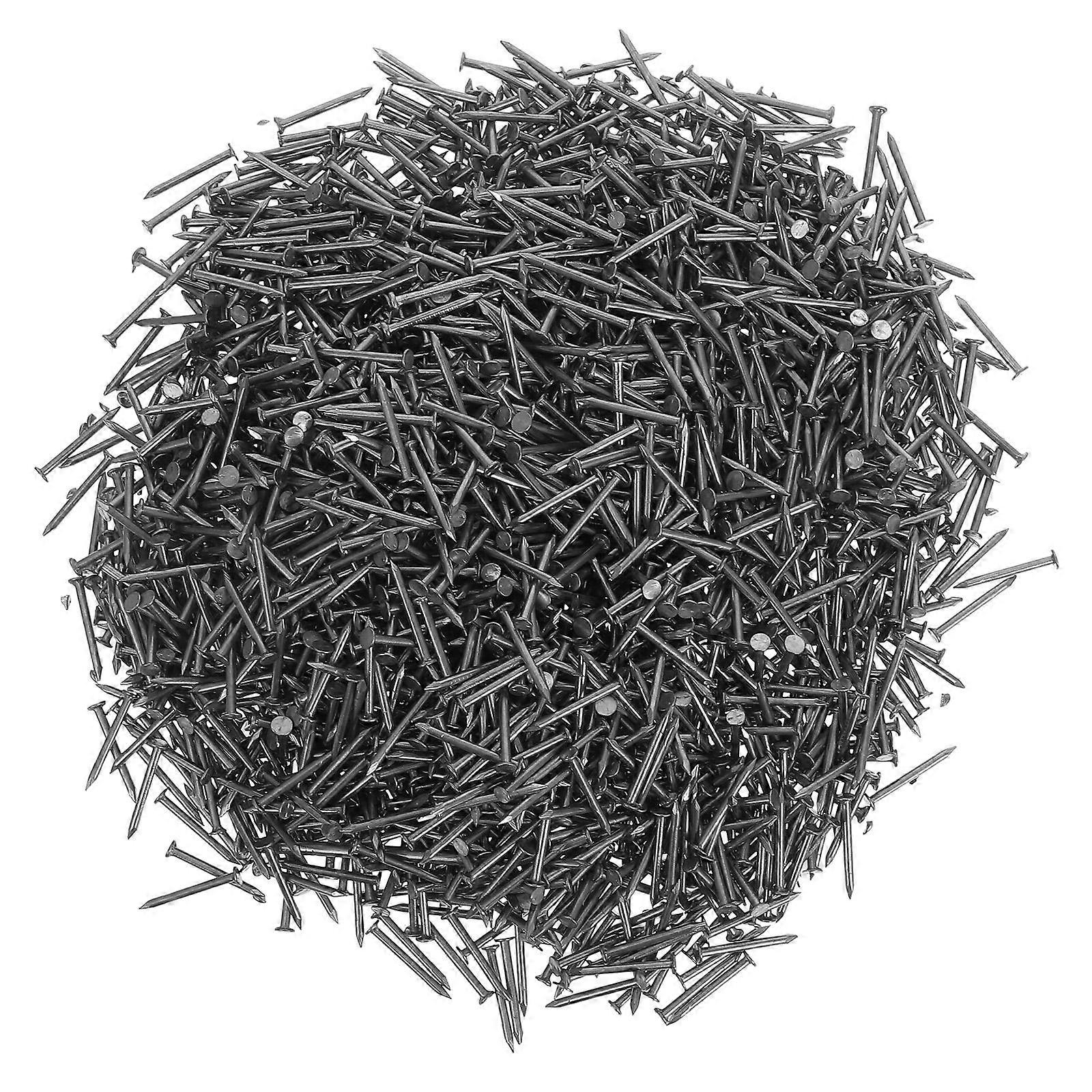 Stainless Steel Point Tip Cement Nails for Concrete, Wood, and Masonry – Assorted Kit for Home Improvement, Crafts, and Picture Hanging