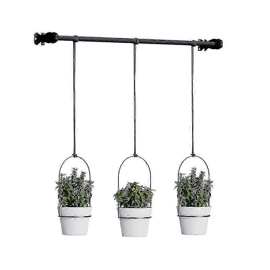 Triflora Hanging Planters Compatible With Indoor Plants Or Herbs, Black