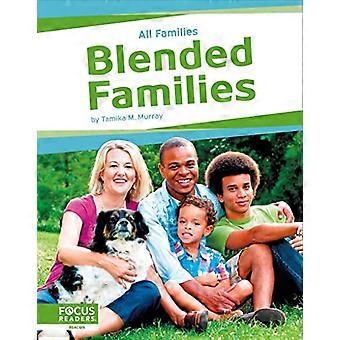 Alle Familien: Patchwork-Familien