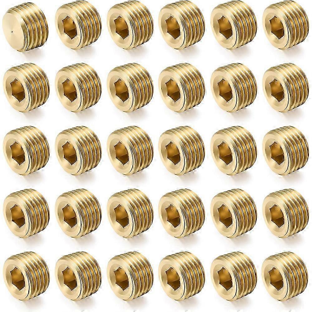 30Pcs 1/4"NPT Male Pipe Plug Fitting Set Internal Hex Thread Socket Pipe Plug Kit Hex Counter Sunk Plugs compatible with End Closure