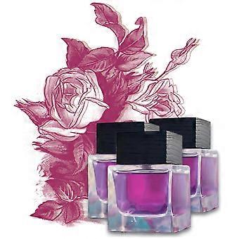Perfume Oil Set 3 Pcs Long Lasting Fragrance Hydrating Rollon Compact for Travel Use