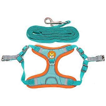 Outdoor Dog Harness Puppy Harness Leash with Wear-Resist Design 4Sets Kit