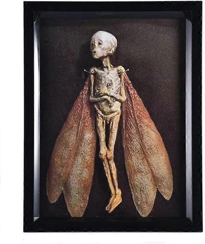 Cursed Items Dead Fairy Shadow Box Display Handmade Creepy Mummif