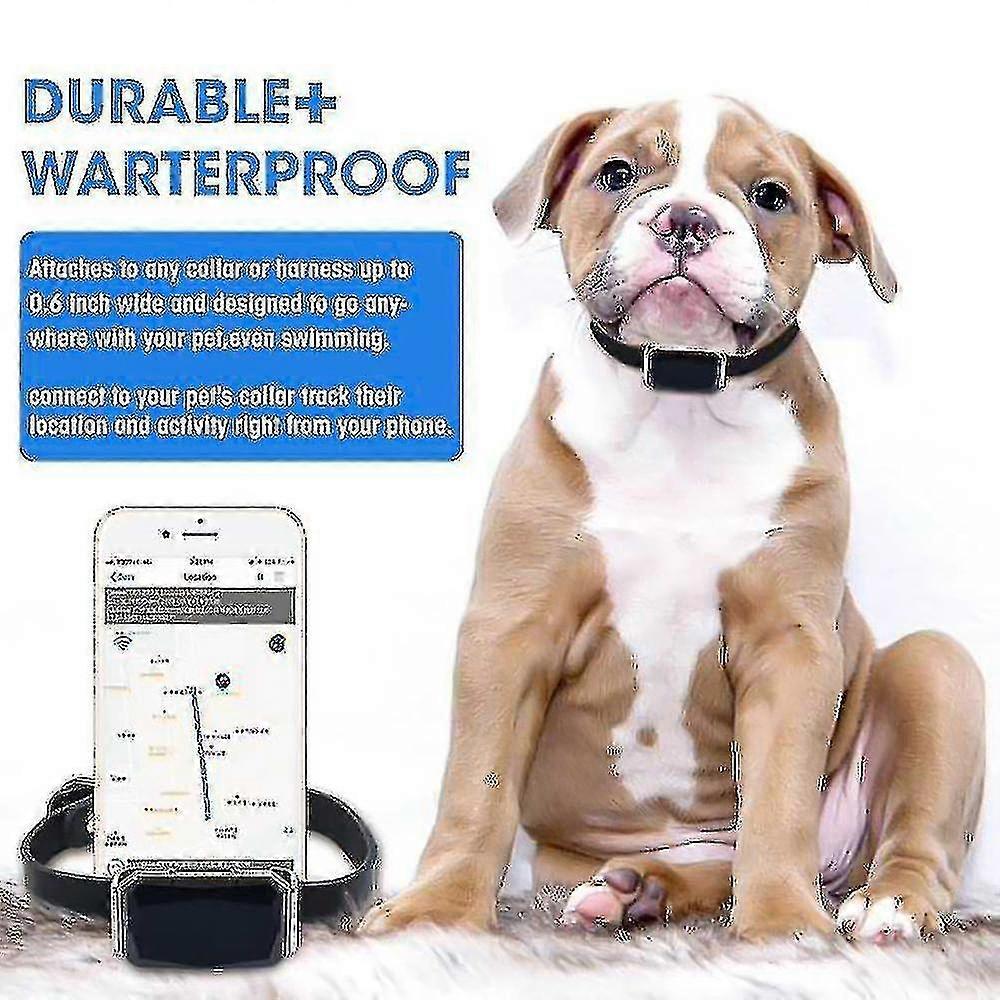 Intelligent Pet Tracker Collier Gps Multifonctionnel Chien Localisation|gps Trackers