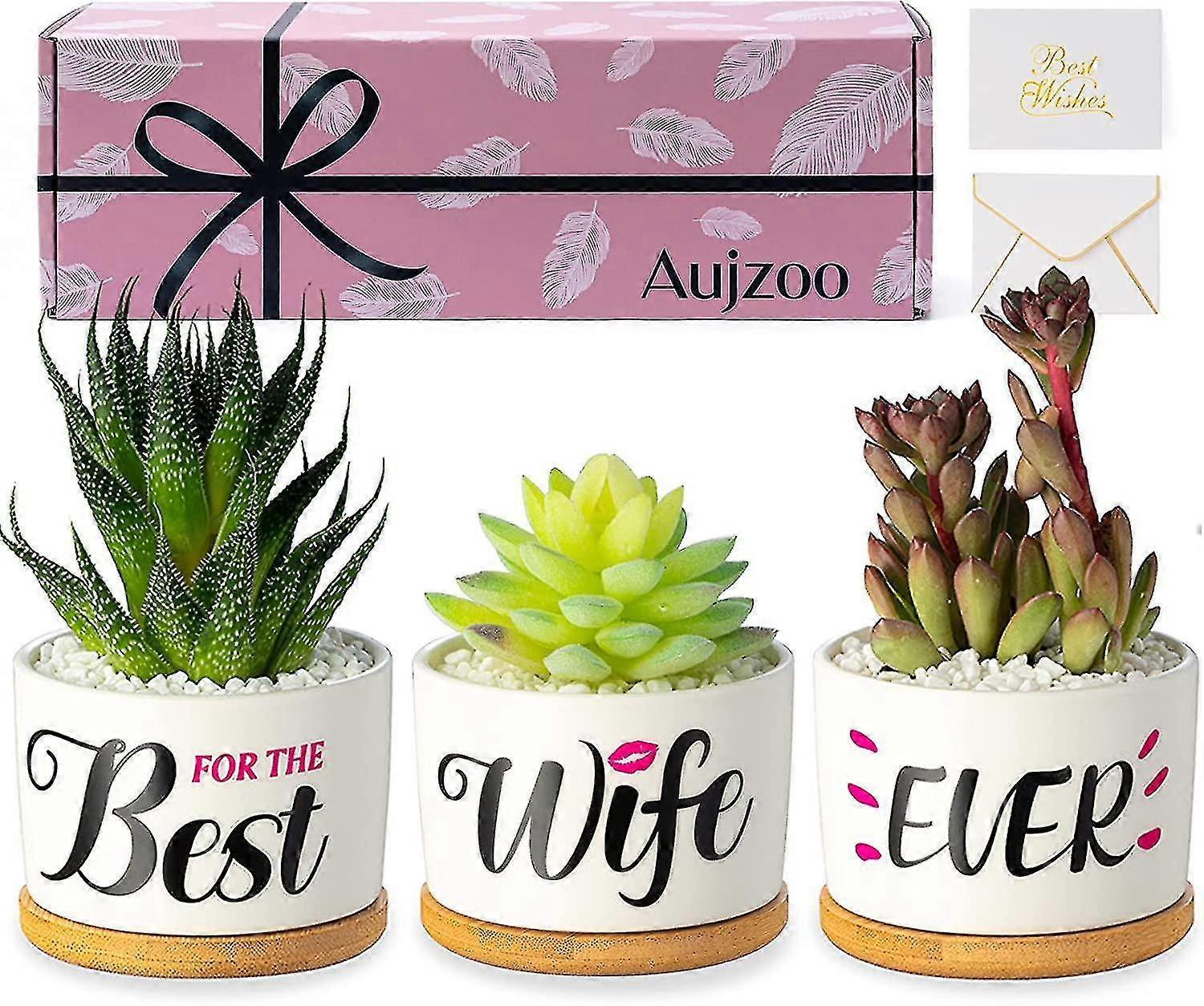 Best Wife Ever Succulent Pots and Creative Present