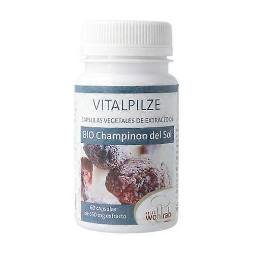 Mushroom of the Sun (Agaricus Blazei) 60 capsules