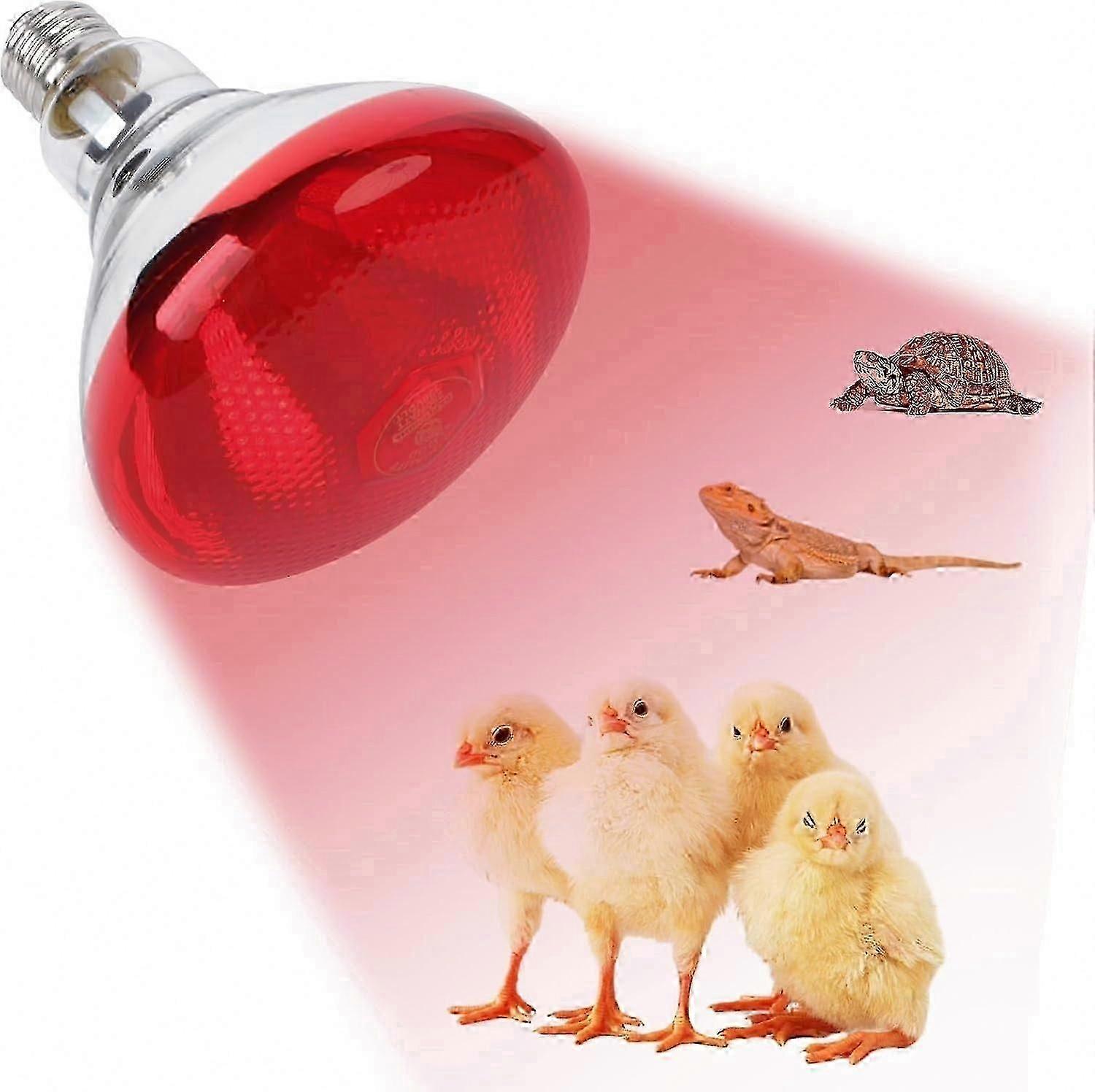 Red Heat Bulb for Chickens with Infrared Heat Lamp 220V 100-275 Watts Suitable for Brooder Coop and Pet Reptiles