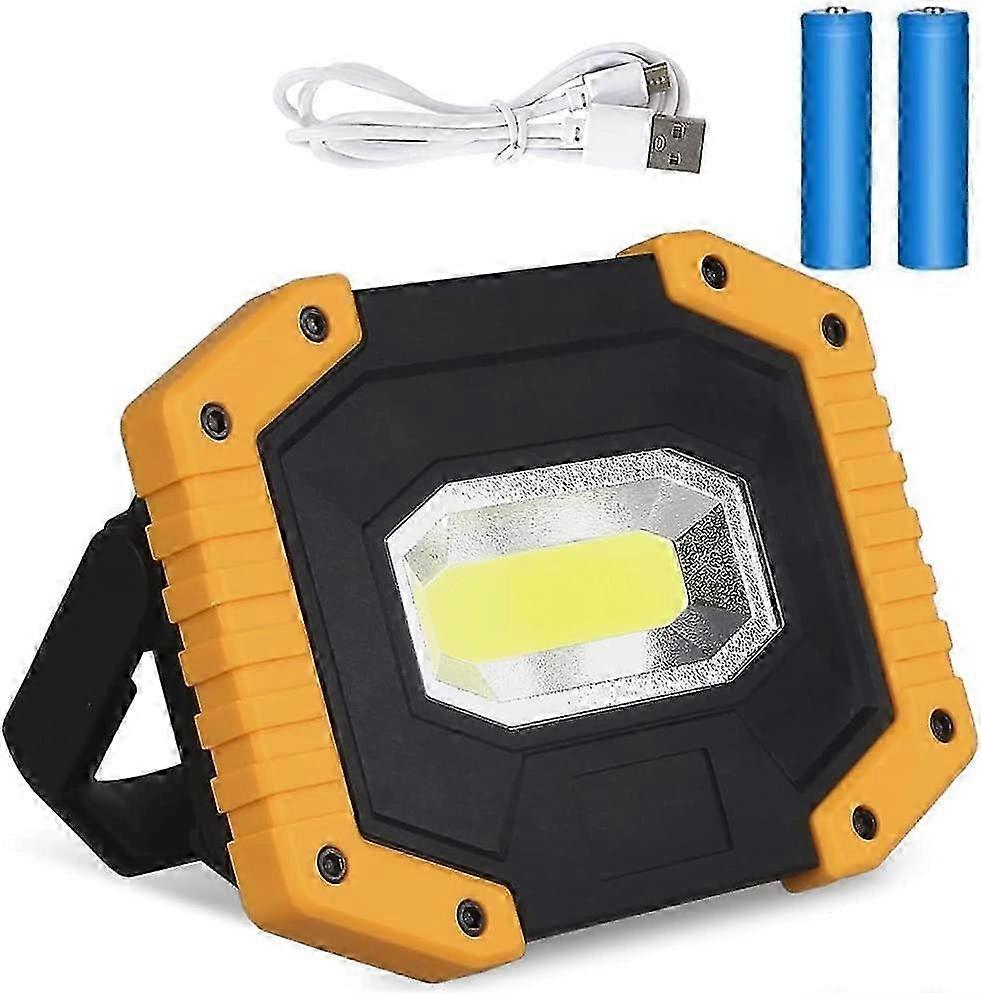 20W USB Rechargeable LED Flood Light with 3 Modes (Includes 2 Batteries)