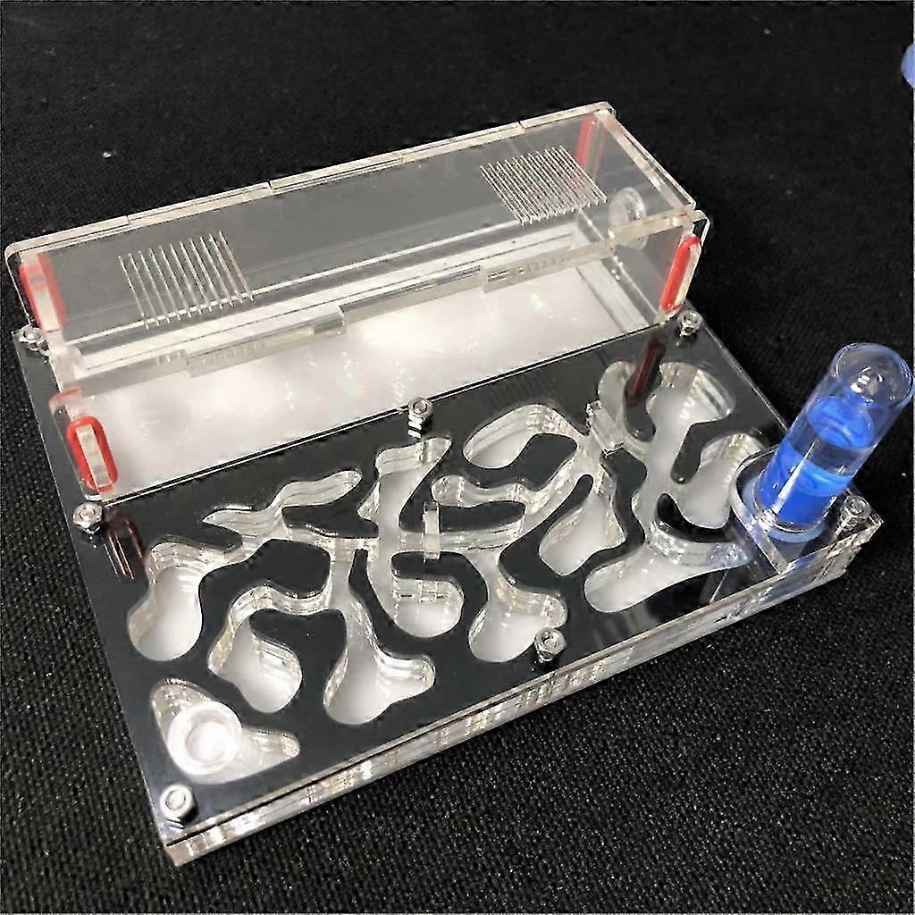 150mmx110mm اختبار أنبوب الرطوبة عش النمل ، مزرعة النمل الاكريليك الحشرات فيلا البيت ورشة عمل بيئية