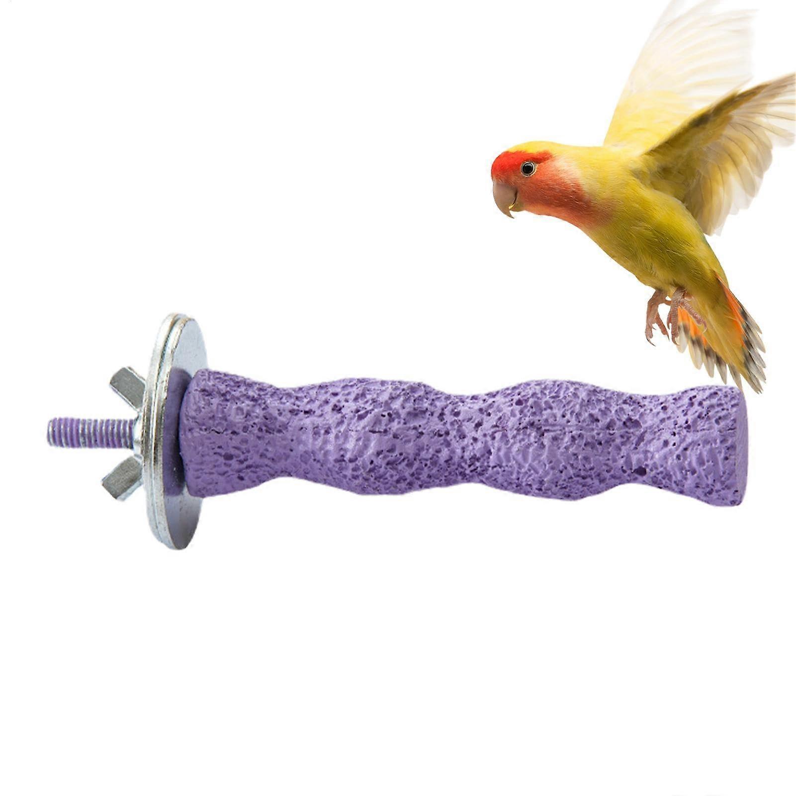 Bird Seat Parrot Stand with Chicken Sticks and Calcium Chew Toys for Parrots, Budgies, Chinchillas, Squirrels