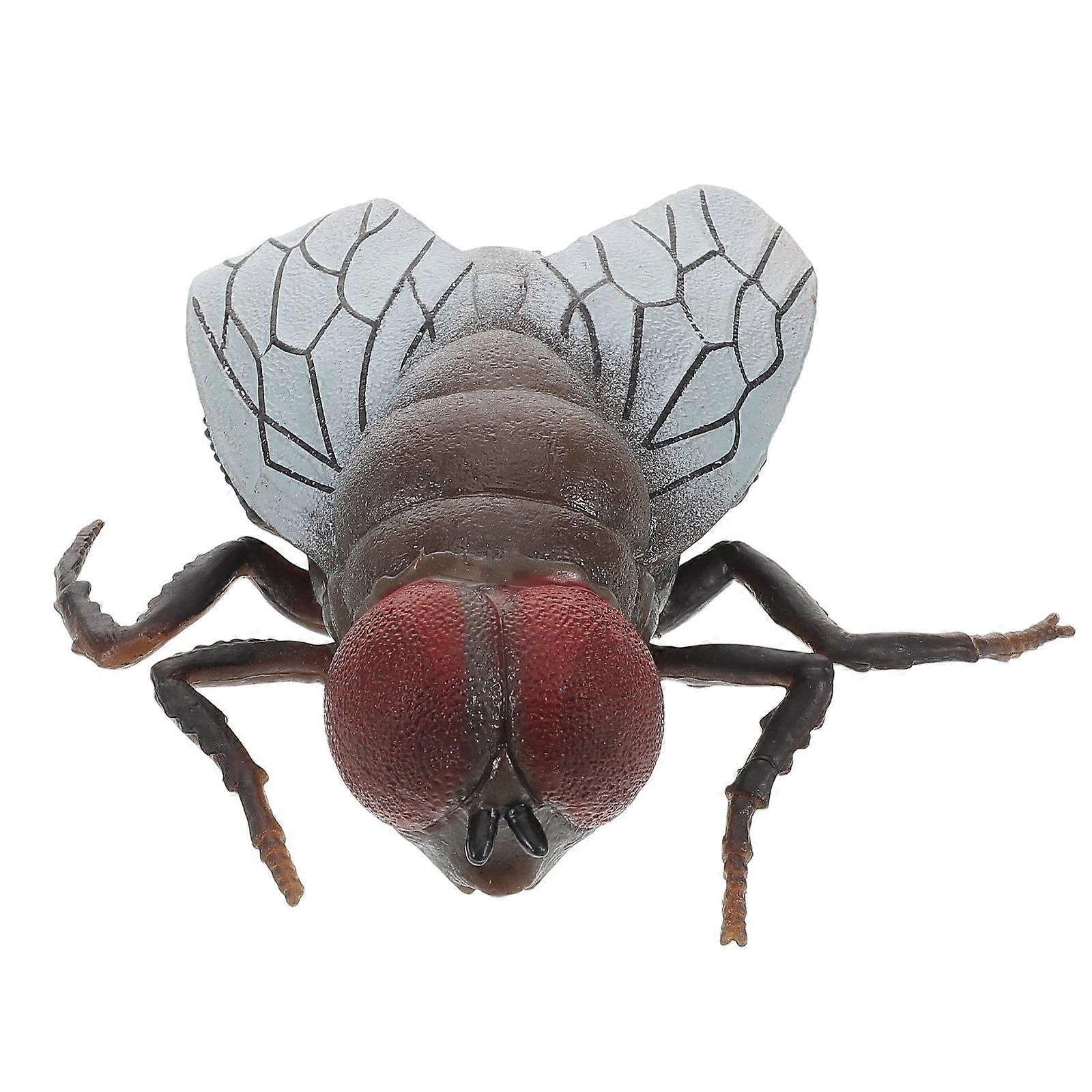 Realistic Fly Cognitive Insect Model for Safe Learning, Pranks, Halloween Decor, and Educational Home Use