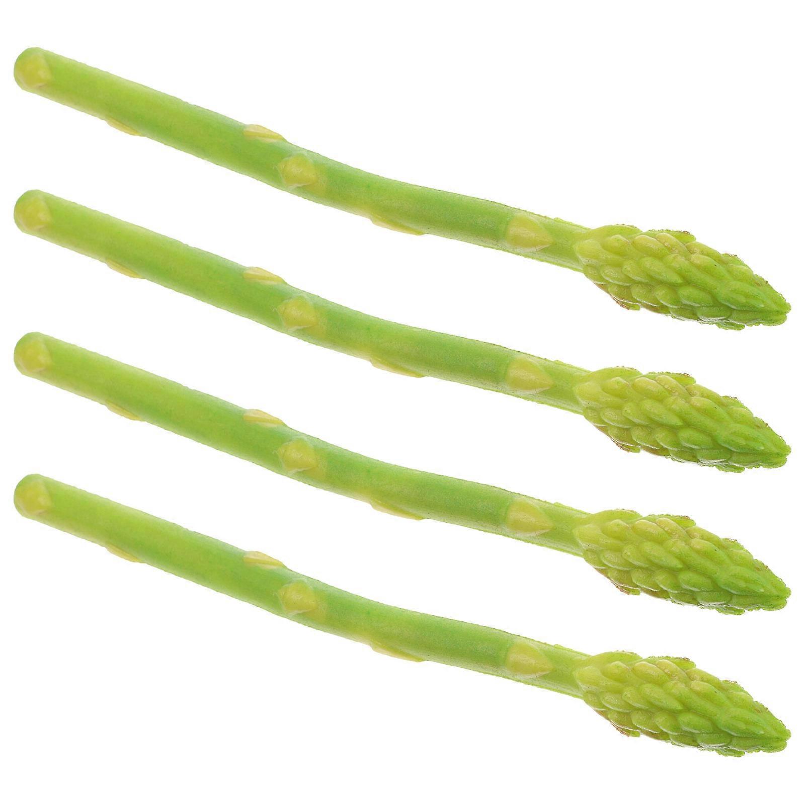 Realistic Simulated Vegetable for Decoration 4Pcs Green PVC Vegetable Models