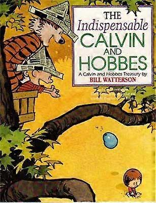 Calvin indispensabil și Hobbes