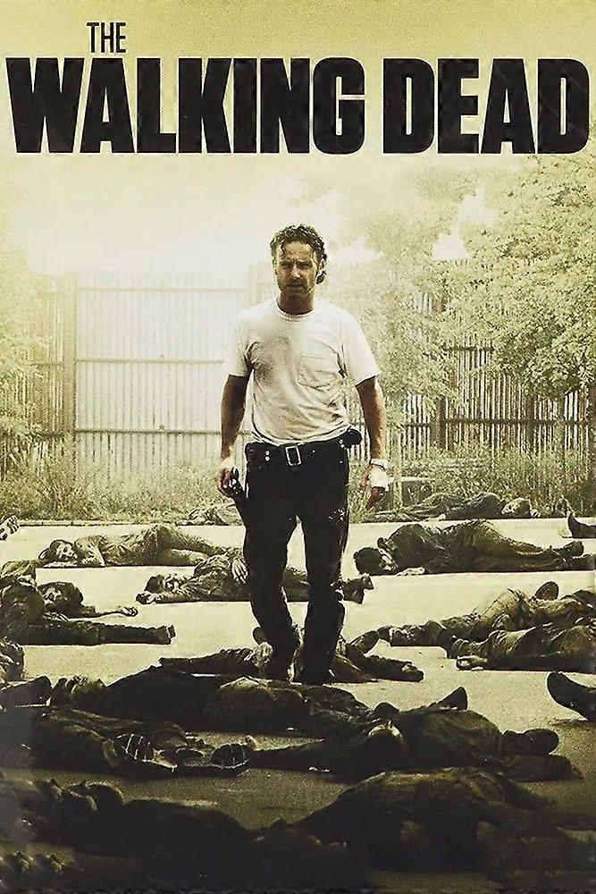 The Walking Dead (2010) Poster A4 A3 A2 A1Jigsaw Puzzle Brain Teaser EB 7793