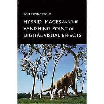 Hybrid Images and the Vanishing Point of Digital Visual Effects