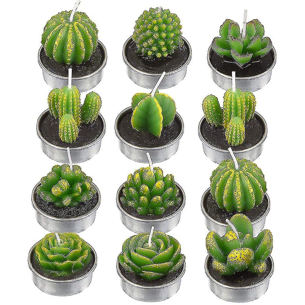 12 Cactus , Artificial Plant Succulent , Day