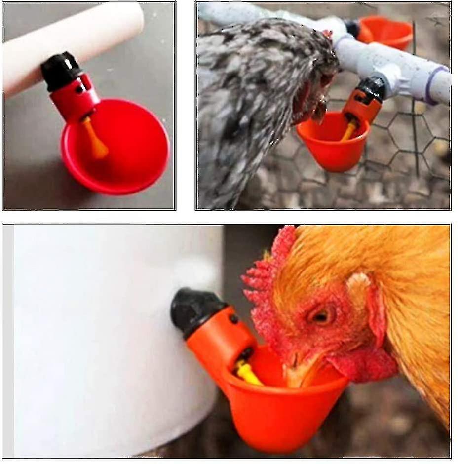 10pcs Chicken Drinking Cups, Poultry Feeding Cups, Tee Automatic Poultry Drinkers, Automatic Chicken Water Cups Drinker 1/2inch Tee Poultry Hen Feedin