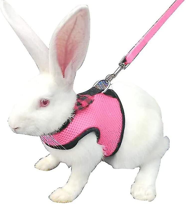 Rabbits Leash, Rabbits Hamster Vest Harness With Breathable Mesh Vest For Kitten Small Walking Pets