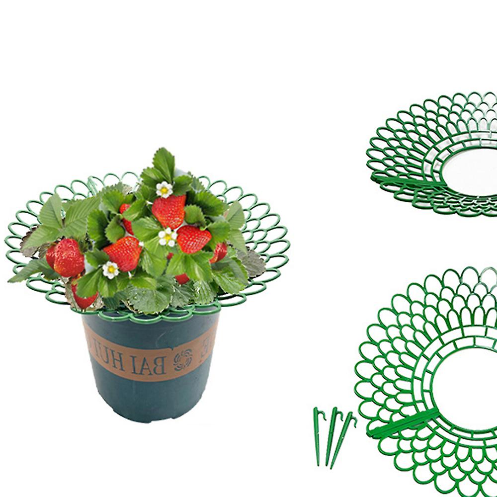 5/10 Pack Strawberrys Supports Rack Set Breathable Durable Plant Rack for Garden Use