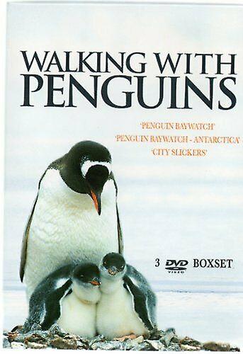 Walking With Penguins- Boxed set DVD - Region 2