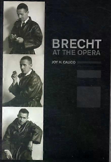 Brecht At The Opera - Joy H. Calico