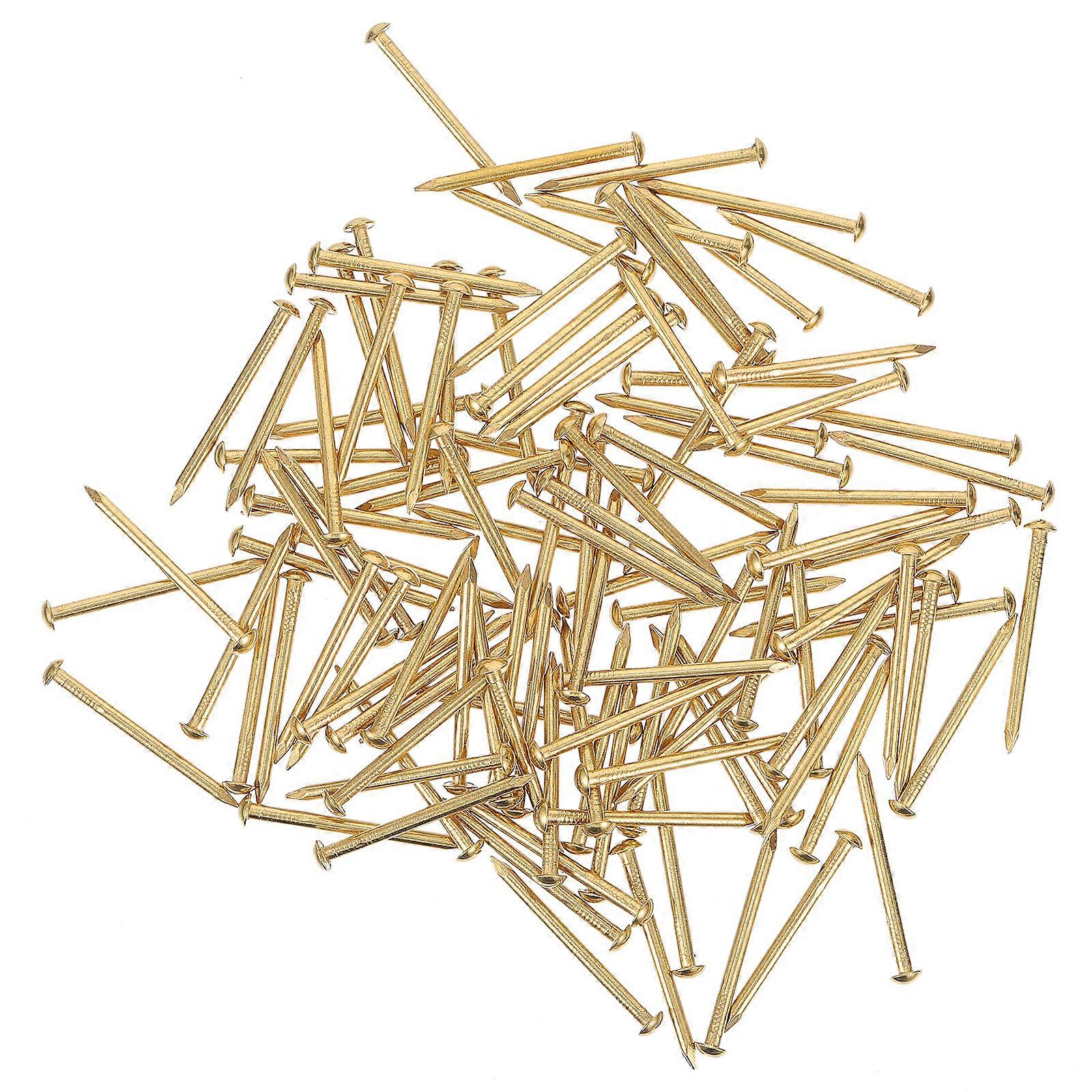 1 Pack 250g Copper Nails Carpenter Round Nails Small Nails Fixing Tools (Golden)