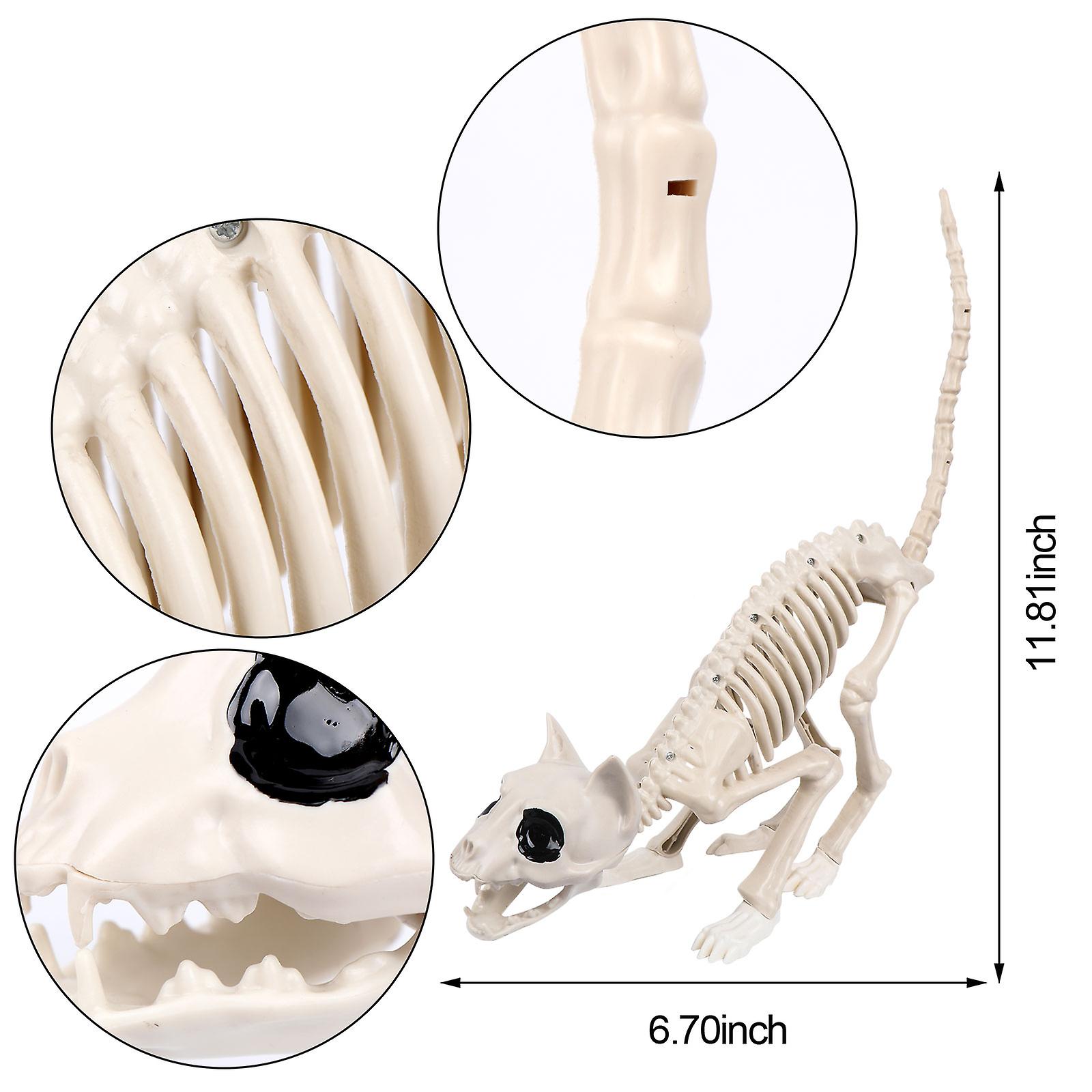 Halloween Skeleton Cat Skeleton Cat Decor Realistic Posable Animal Skeleton