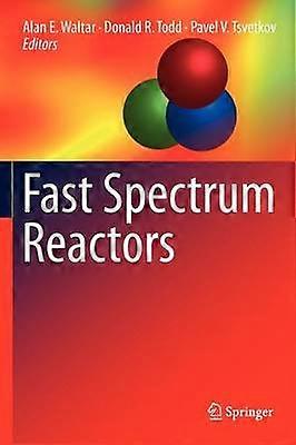 Fast Spectrum Reactors