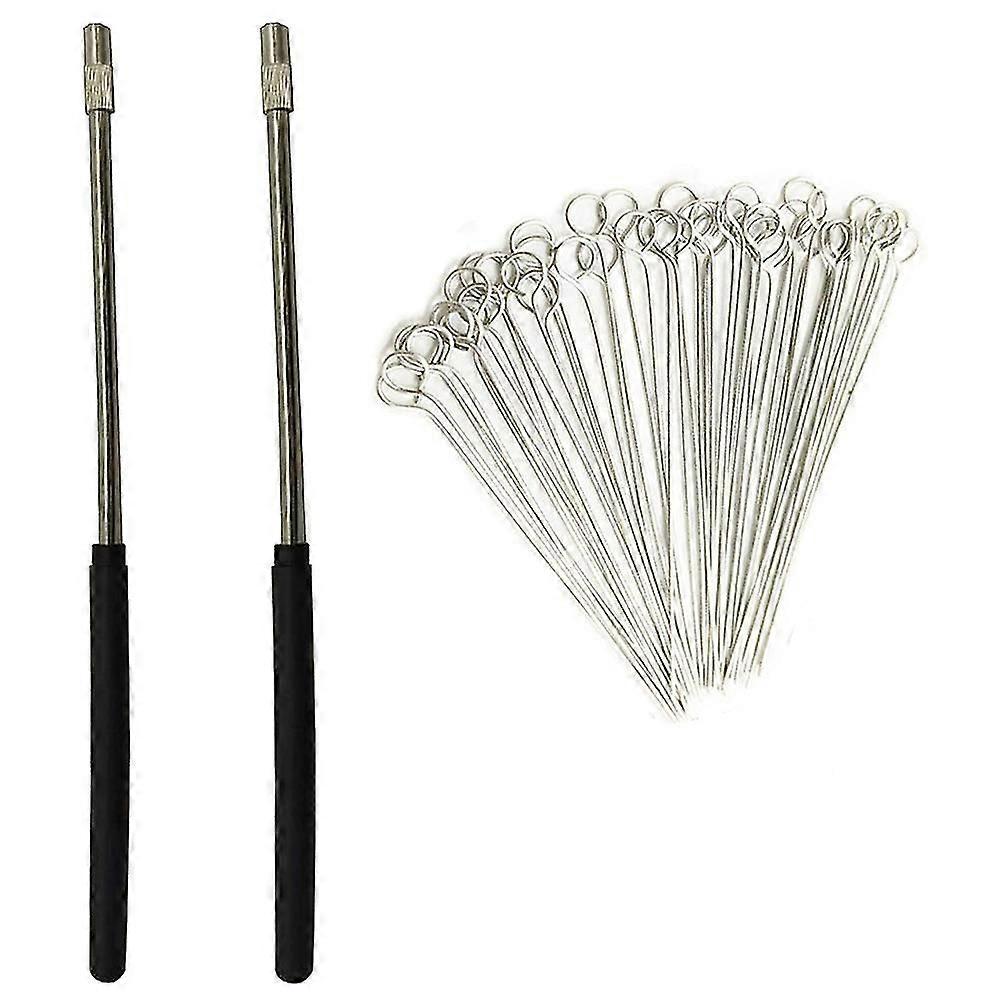 2PCS Reusable Inoculating Loop Holders with 50Pcs 10UL Nichrome Needle Tips Inoculation Loop compatible with La