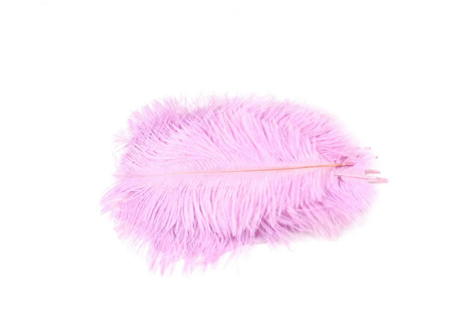 Pack of 10 Bird Feathers Craft Feathers Feather Mask Feathers Decorative Feathers Ostrich Feathers 20 CM/Bouquet Natural Lilac 462h