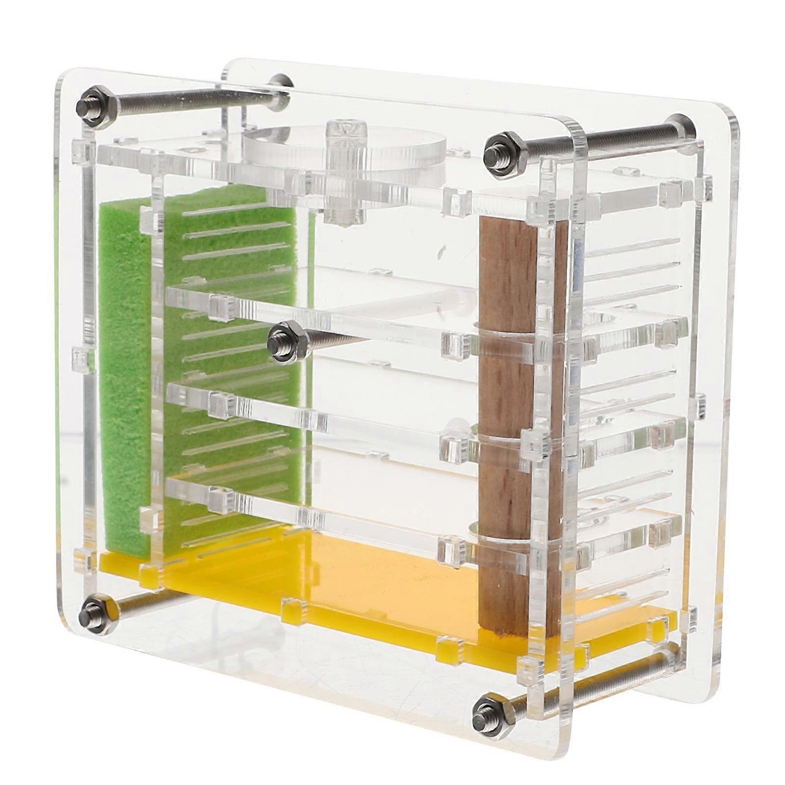 Ant Nest Acrylic Ant Castle for Observing 5Pcs Toy Box