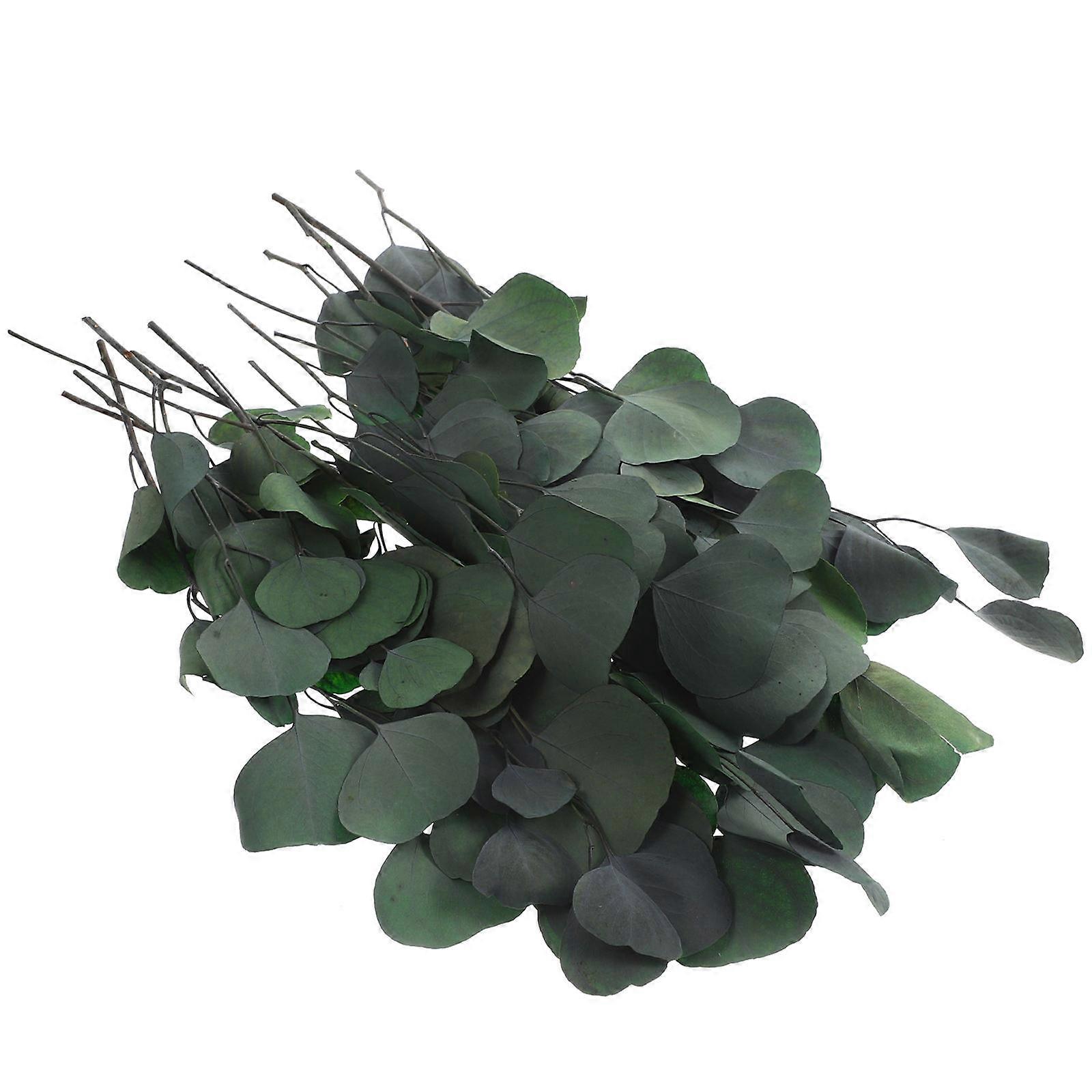 Dried Eucalyptus Bundle Eucalyptus Leaves Flower Vase Decor for Decoration 2Pcs