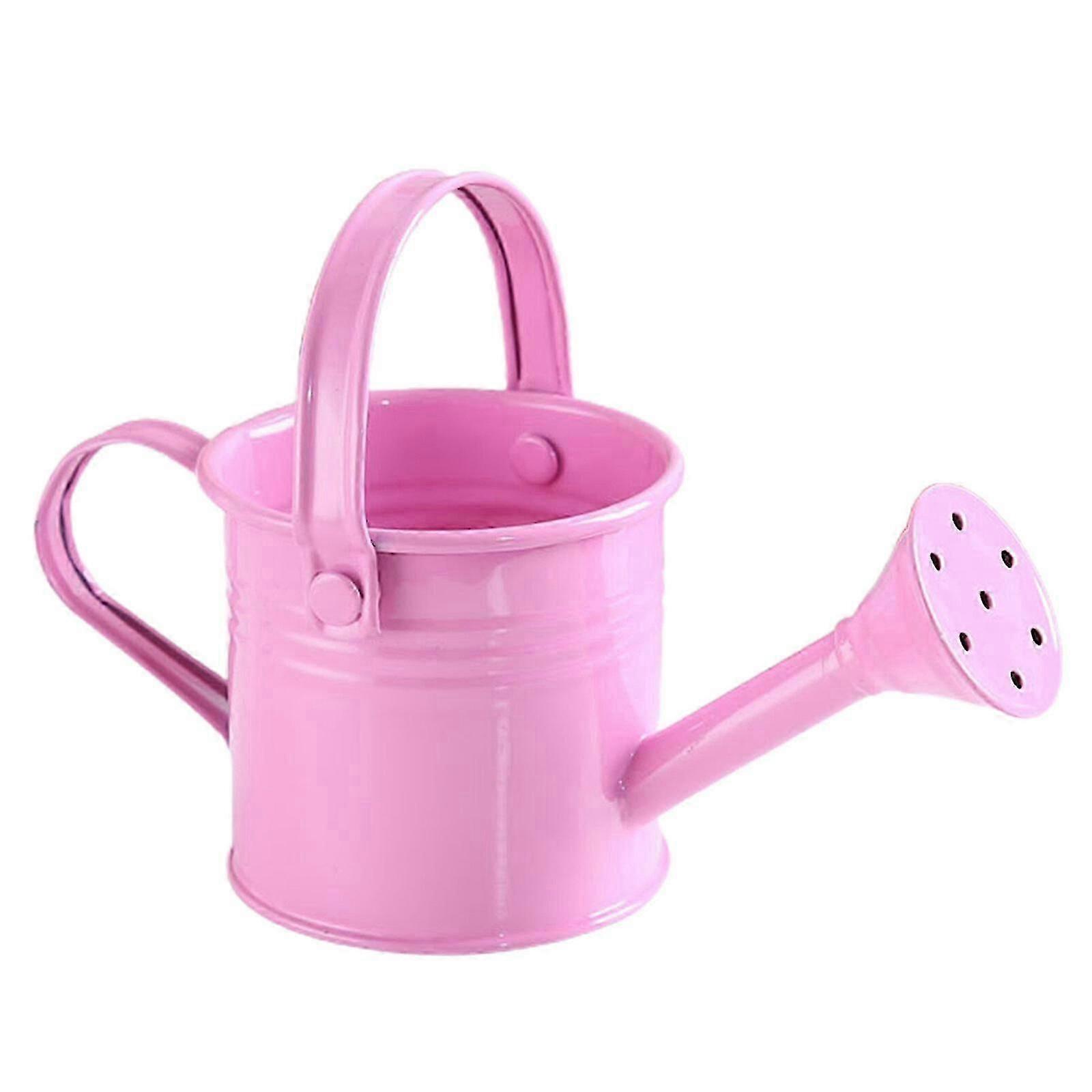 علبة سقي معدنية محمولة مع صنبور طويل ، مقبض من الحديد المطاوع للبستنة ، رذاذ النبات