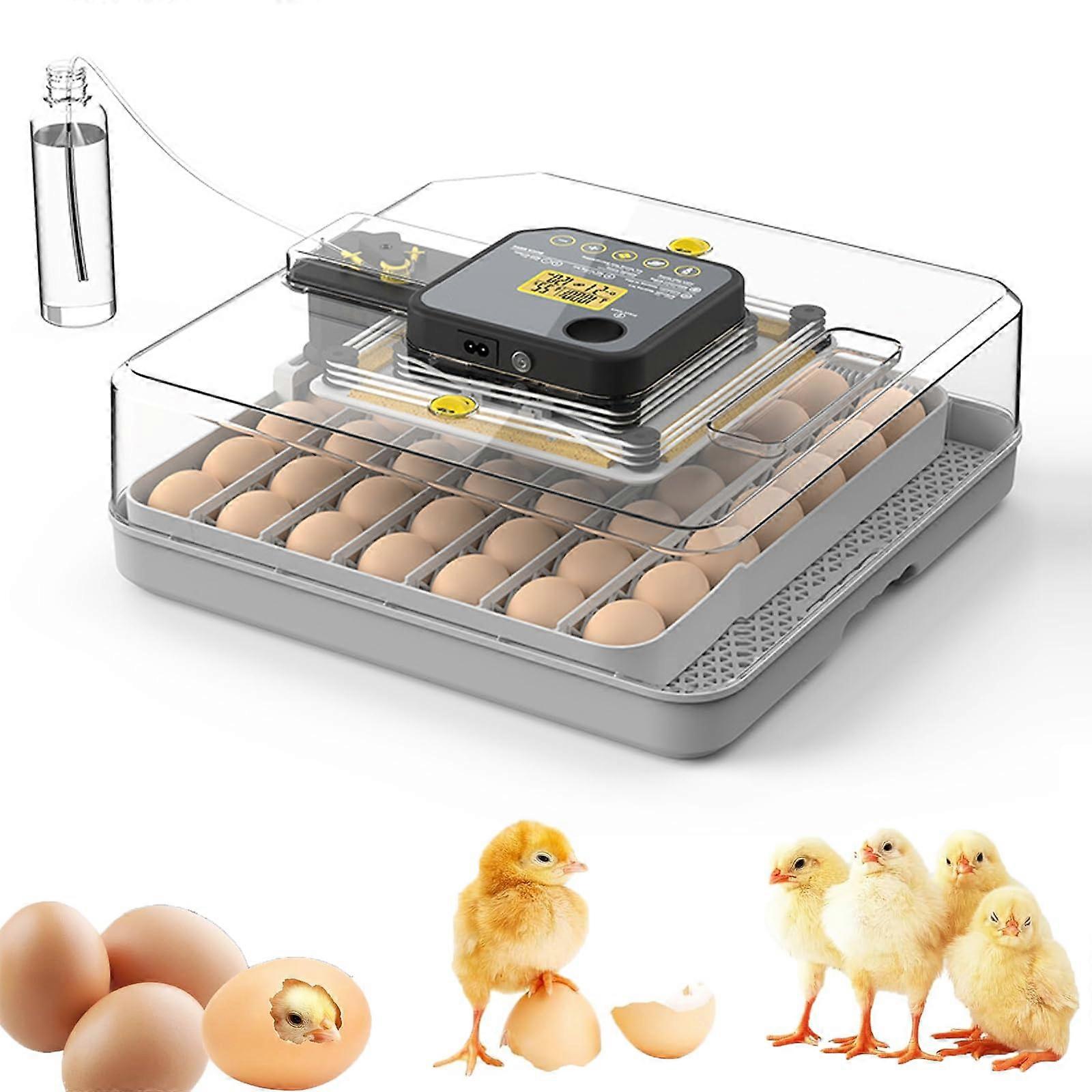 Egg Incubator 48Egg Capacity, Dual 12V/220V, Automatic Temperature Humidity Control, Egg Turning, Adjustable Tray