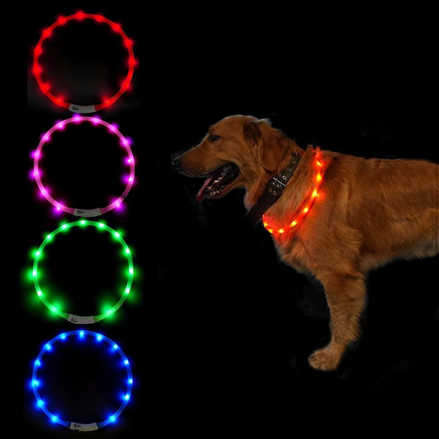 Dog Collar 