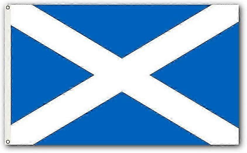 Vivid UV-Resistant Polyester Flag