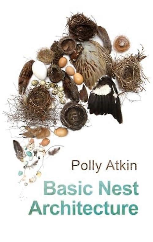 Basic Nest Architecture (Paperback)