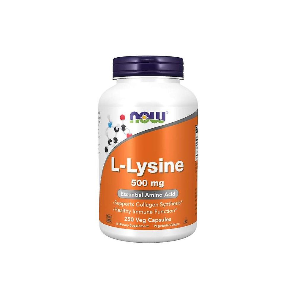 NOW Foods Llisyna 500 MG BI5030