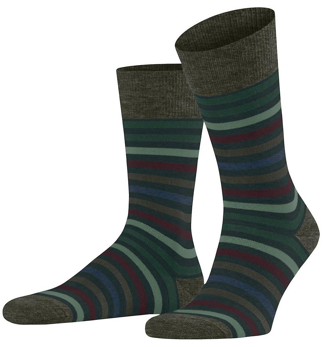 Falke Tinted Stripe Socks - Wald Green