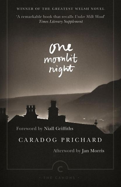 Uma Noite Iluminada pela Lua - Caradog Prichard