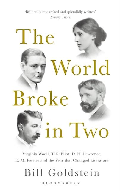 The World Broke In Two by Bill Goldstein Paperback Book