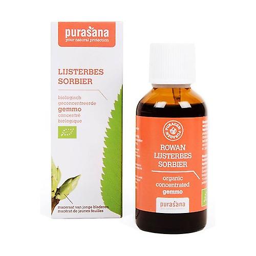 Sorbier 50 ml