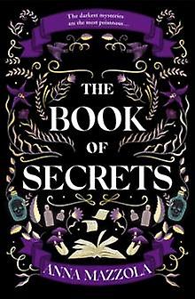 The Book Of Secrets by Anna Mazzola Paperback