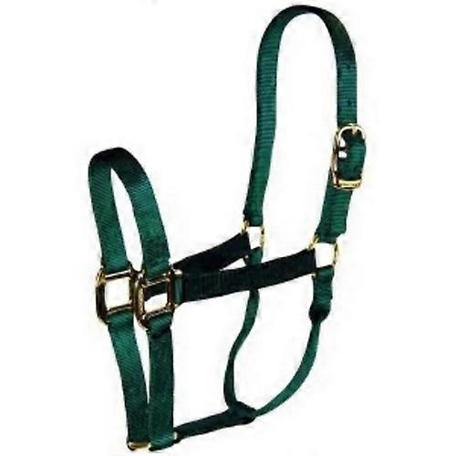 Hamilton Halter Horse Adjustable 8-11 Avg Dark Green, 1 Each