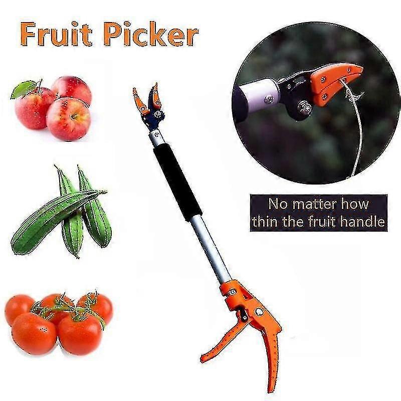 Long Handle Fruit Picker,garden Long Reach Tree Pruner,long Handled Secateurs For Tree Branches,frui