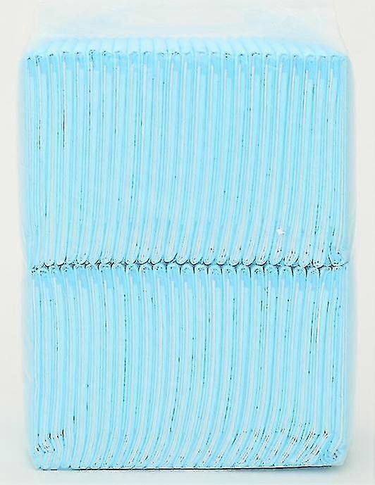 Pet Training Pads for hunder og valper, Training Pad, Quick Absorbere