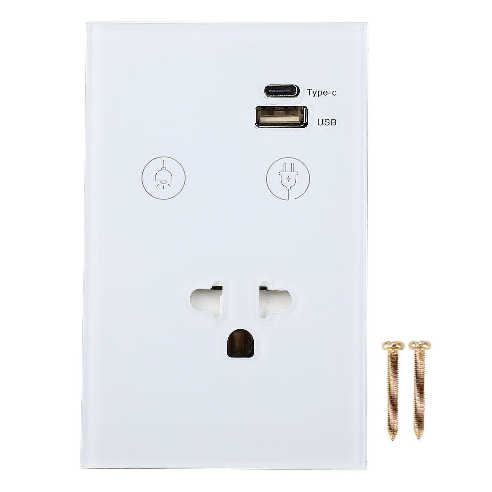 Smart Wall Outlet Switches App Remote Voice Control 1 Gang 2.4GHZ WiFi Touch Light Switch with USB and TYPE C Port