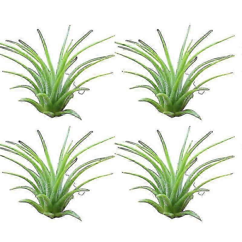 4Pcs Air Plant Ornamental No Soil Needed Moderate Watering Easy to Care Indoor Vase Water-planting Tillandsia Plant Decoration Home Decor