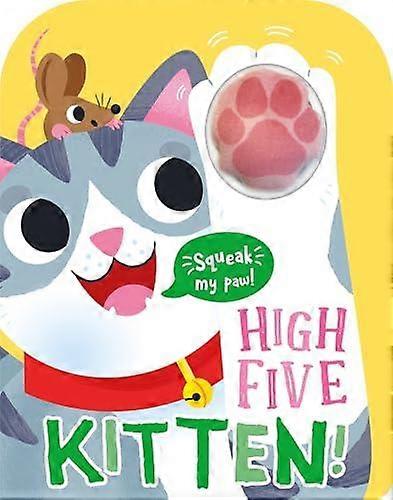 High Five Kitten A Countandsqueak Book. by Robin Baines Paperback Book