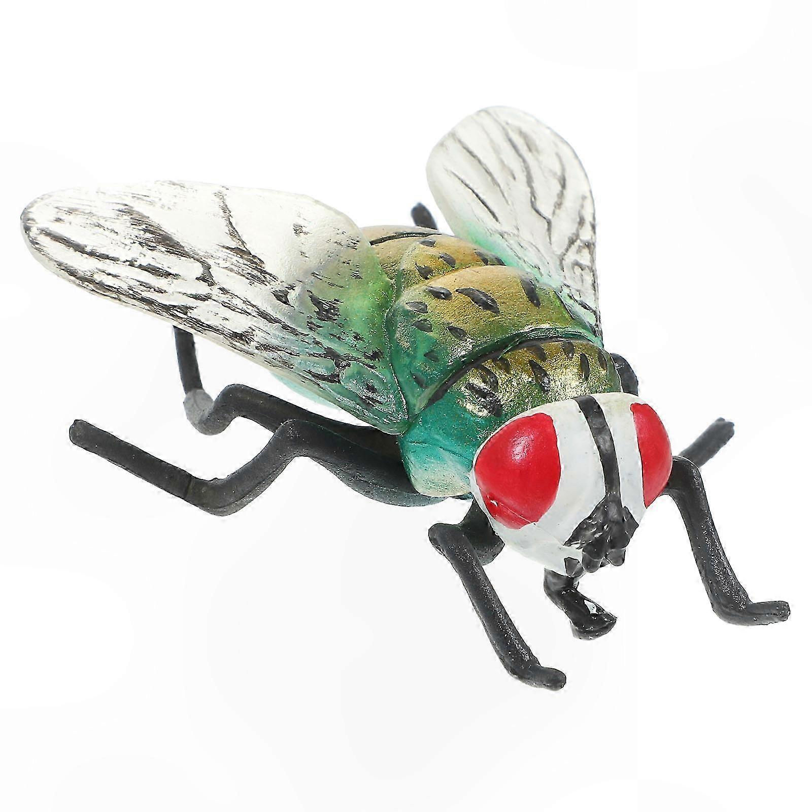 Realistic Fake Fly Model for Cognitive Play and Eonal Exploration Insect Toy for Kids and Adults